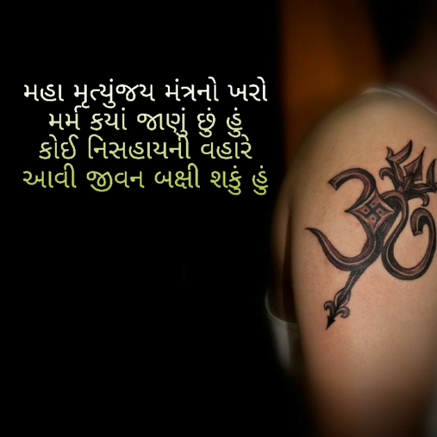 Gujarati Blog by Firdos Bamji : 111508051