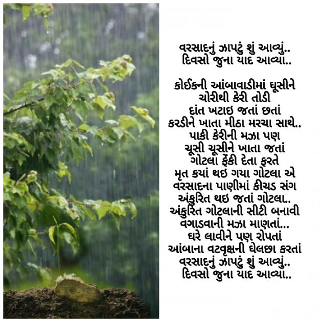 Gujarati Poem by Firdos Bamji : 111508365