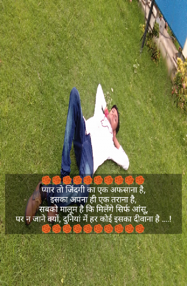 Gujarati Whatsapp-Status by Akshay Zala : 111508417