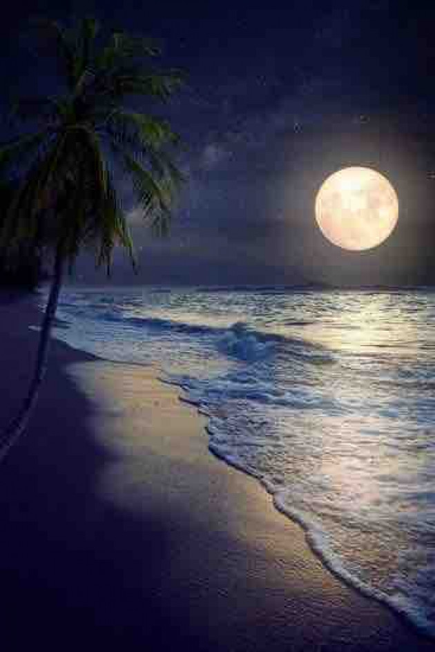 Hindi Thought by Ruhiba : 111508940