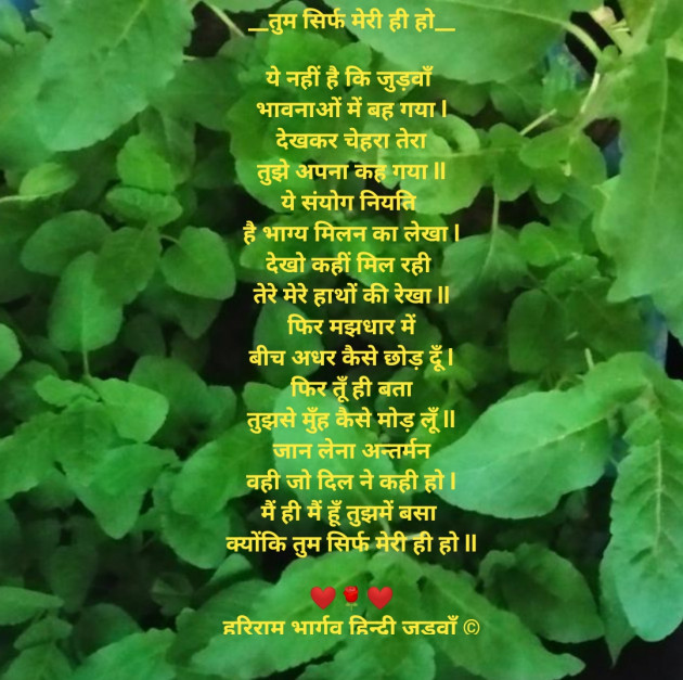 Hindi Poem by हरिराम भार्गव हिन्दी जुड़वाँ : 111509013