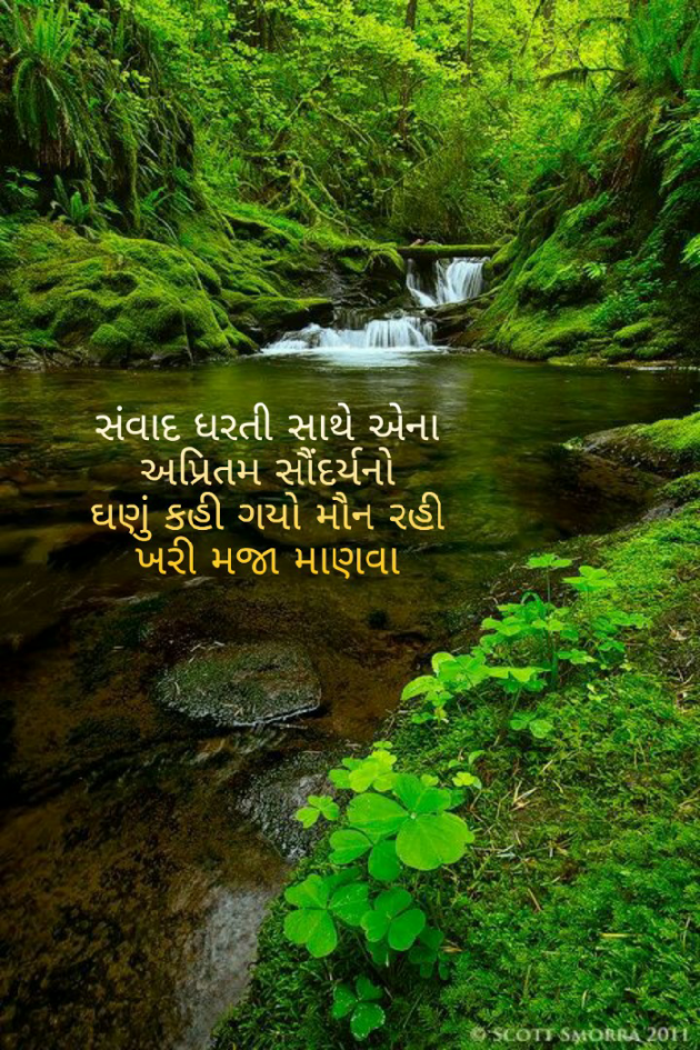 Gujarati Blog by Firdos Bamji : 111510756