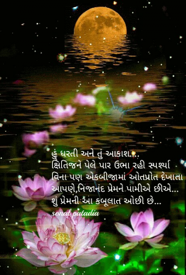 Gujarati Blog by Sonalpatadia Soni : 111510759