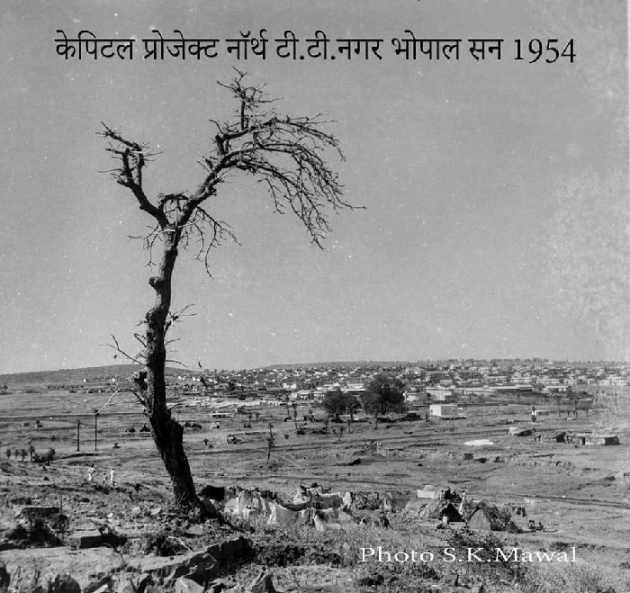 English Shayri by Shekhar : 111513304