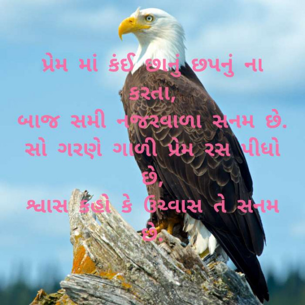 Gujarati Poem by Anil Bhatt : 111513383