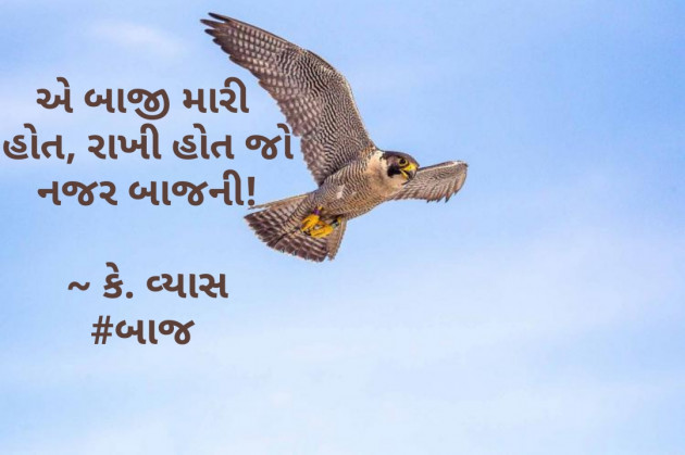 Gujarati Hiku by Ketan Vyas : 111513394