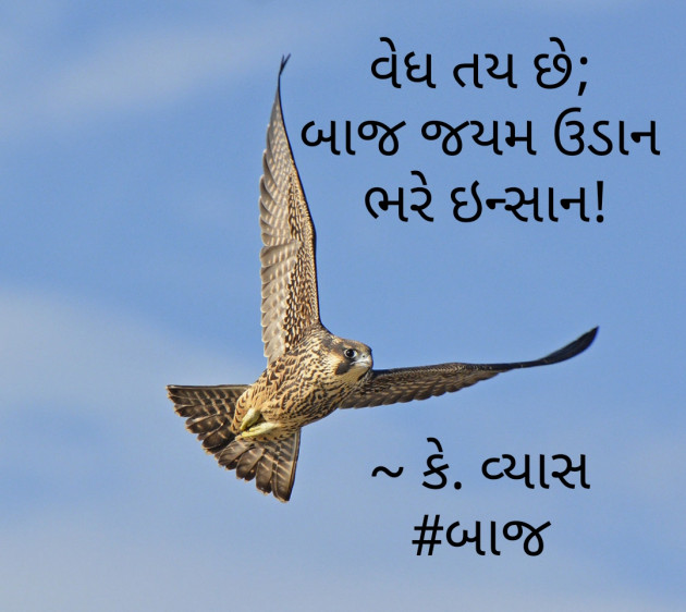 Gujarati Hiku by Ketan Vyas : 111513403