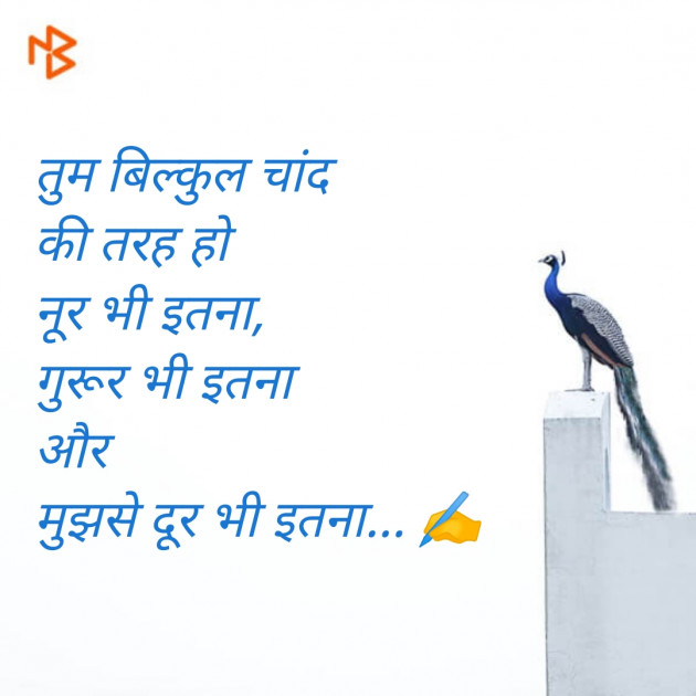 Hindi Shayri by Mahesh Prajapati : 111513540