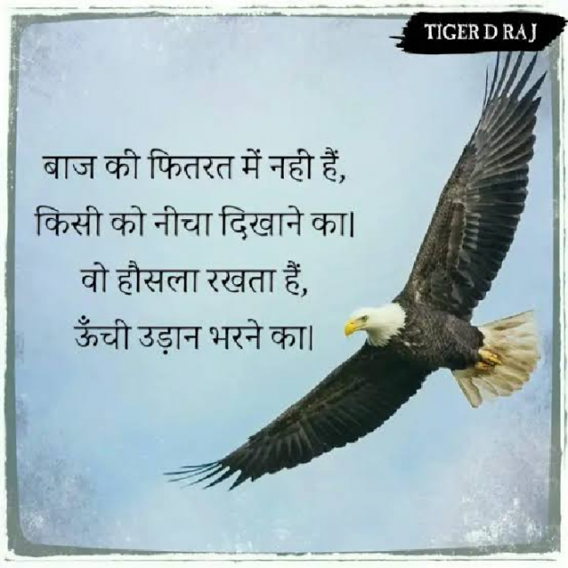 Hindi Motivational by Smile : 111513620