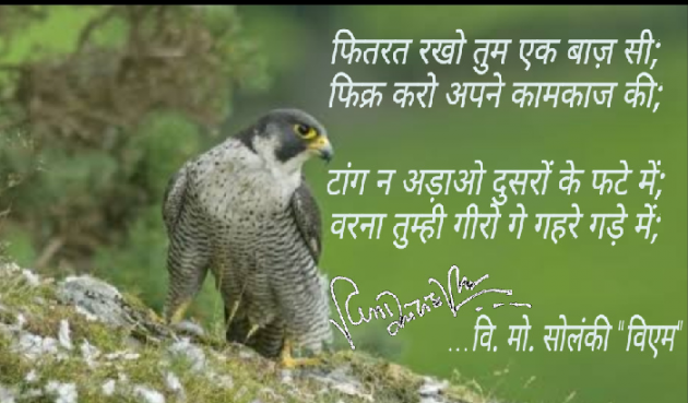 Hindi Blog by વિનોદ. મો. સોલંકી .વ્યોમ. : 111513691