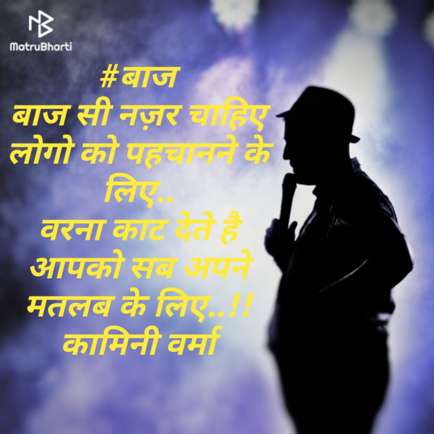 Hindi Blog by Kaamini : 111513719