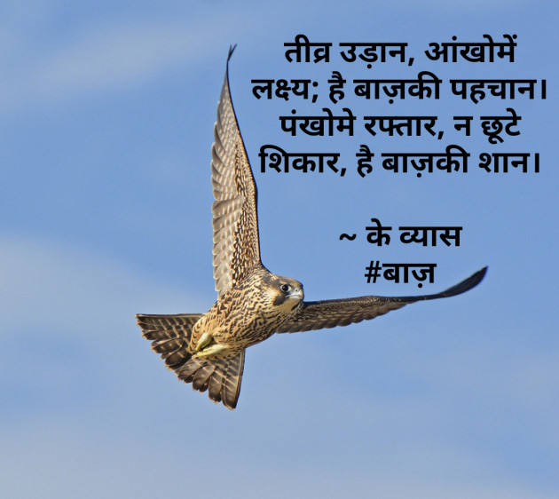 Hindi Shayri by Ketan Vyas : 111513855
