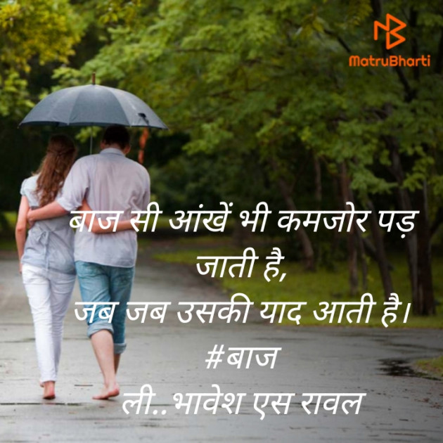 Hindi Blog by Writer Bhavesh Rawal : 111513876