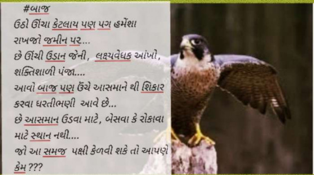 Gujarati Blog by Aarti Joshi : 111513987