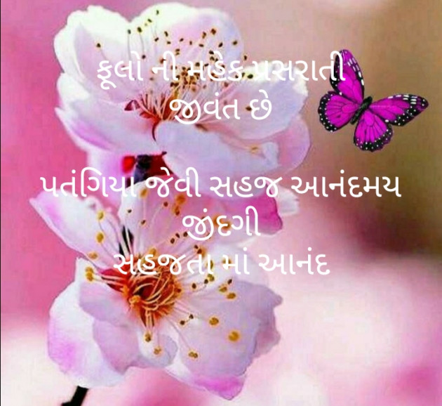 Gujarati Motivational by મોહનભાઈ આનંદ : 111514306