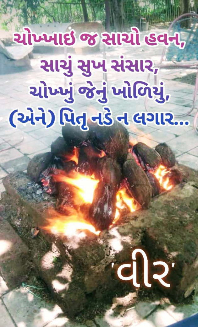 Gujarati Motivational by Bipin Agravat : 111514373