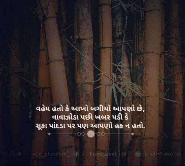 Gujarati Quotes by Sanju Parmar : 111516388