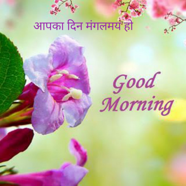 Hindi Good Morning by Ankit Pandey : 111516638