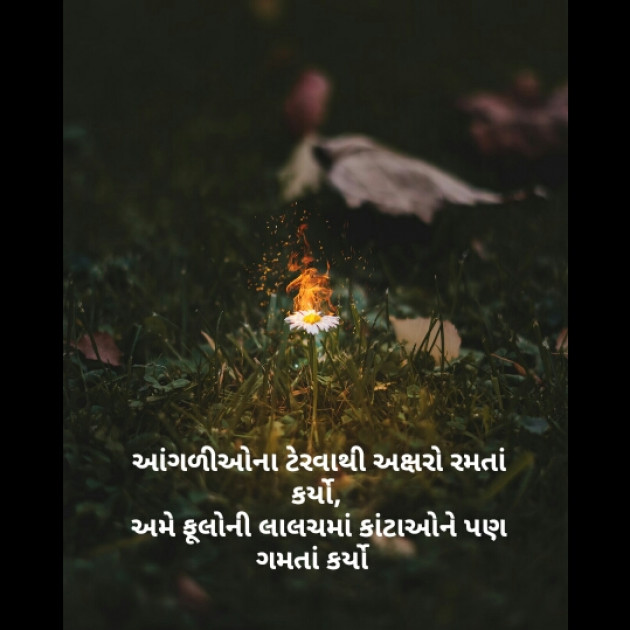 Gujarati Shayri by A K : 111519004