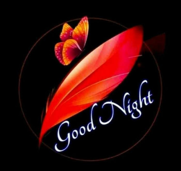 English Good Night by N K : 111519499