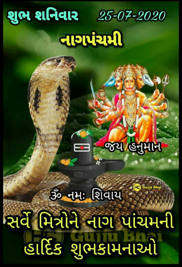 Gujarati Religious by Sonal : 111520082