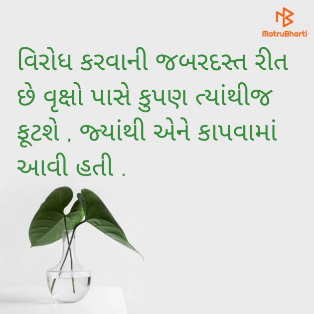 Gujarati Quotes by masiha : 111520508