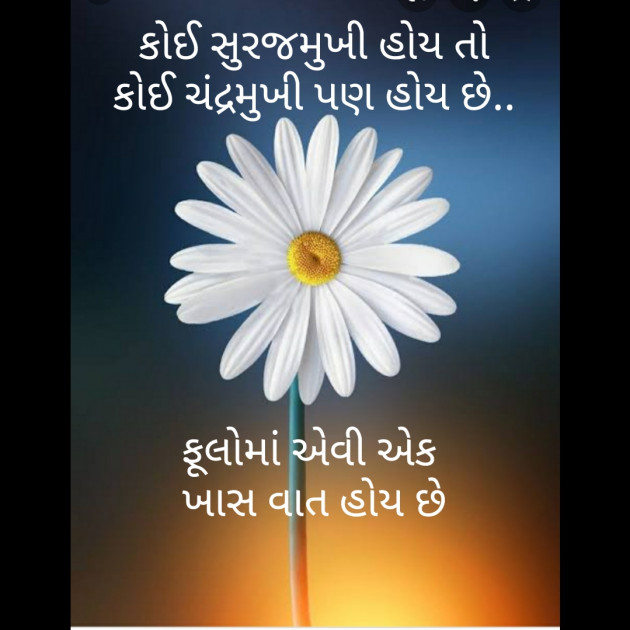 Gujarati Romance by Vibhavari Varma : 111521672