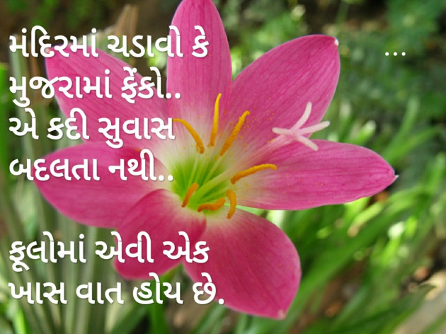Gujarati Romance by Vibhavari Varma : 111522550