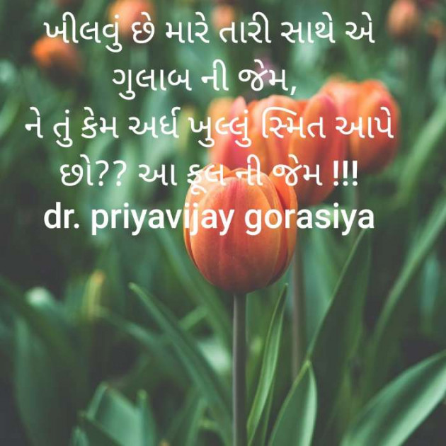 Gujarati Blog by Dr Priya Gorasiya : 111522909