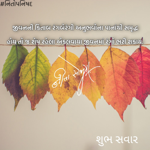 Post by Nita sojitra on 28-Jul-2020 10:01am
