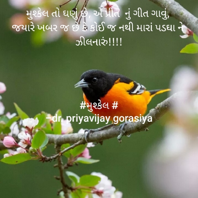 Gujarati Blog by Dr Priya Gorasiya : 111525012