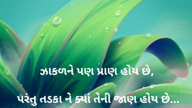 Gujarati Good Morning by Dharmesh Vala : 111525804