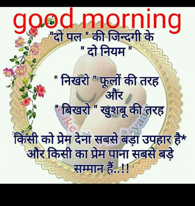 Gujarati Good Morning by Parul : 111525925