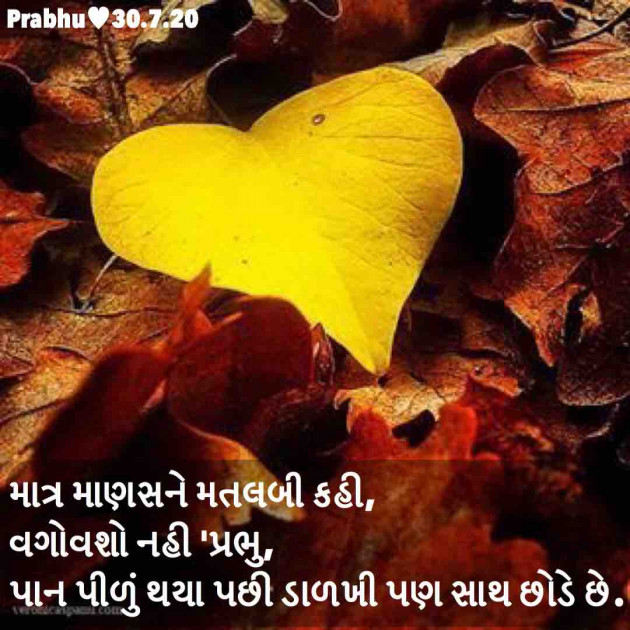 Gujarati Shayri by પ્રભુ : 111526356
