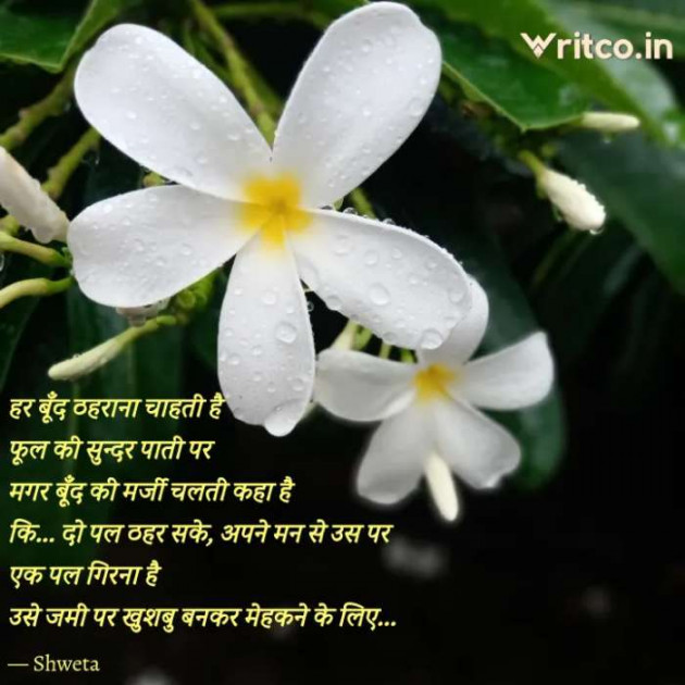 Hindi Shayri by Shweta Singh : 111527325