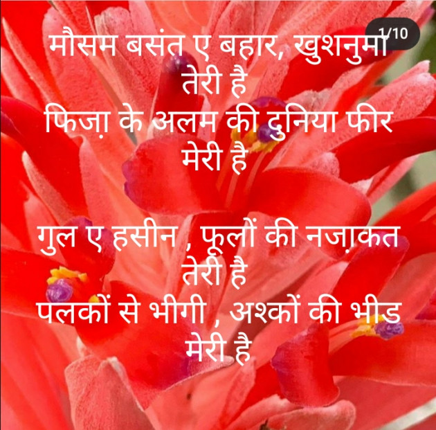 Hindi Poem by મોહનભાઈ આનંદ : 111527881