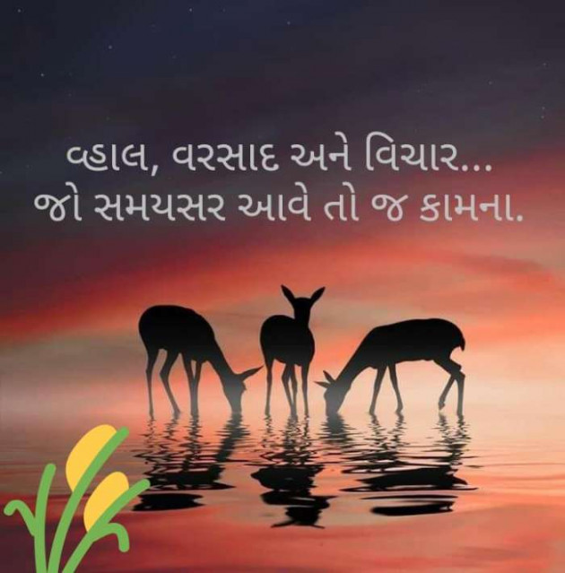 Gujarati Good Evening by RajniKant H.Joshi : 111528391