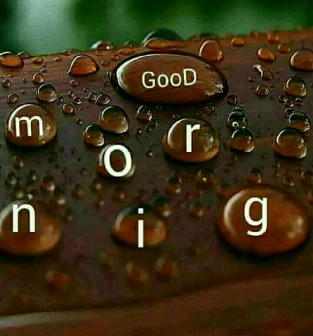 Hindi Good Morning by VIRENDER  VEER  MEHTA : 111528800