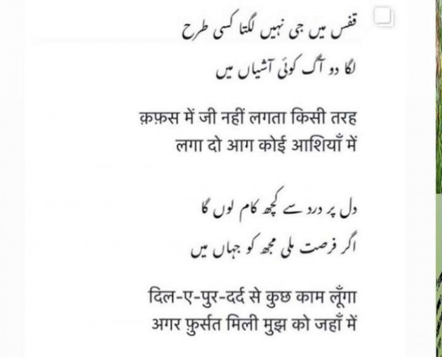 English Shayri by Farheen Abbasi : 111530982