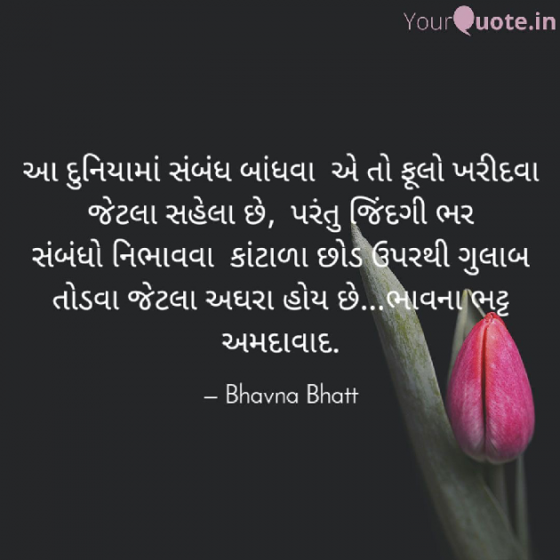 Gujarati Blog by Bhavna Bhatt : 111532096