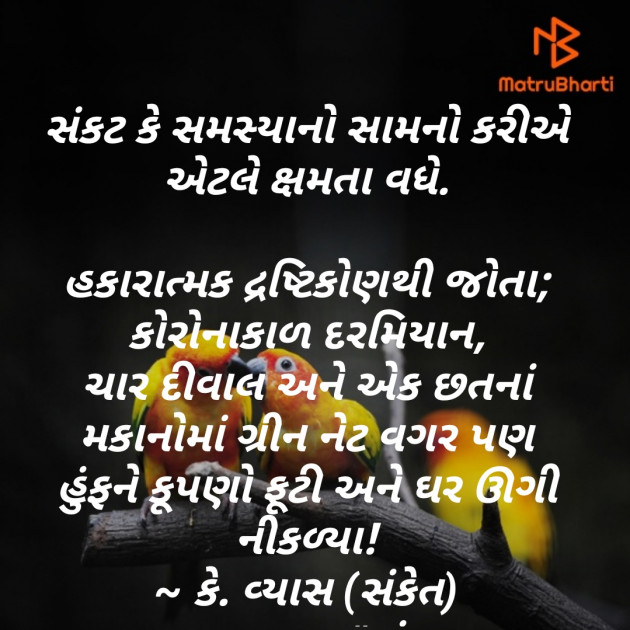 Gujarati Blog by Ketan Vyas : 111532114