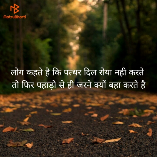 Hindi Shayri by PUNIT SONANI 