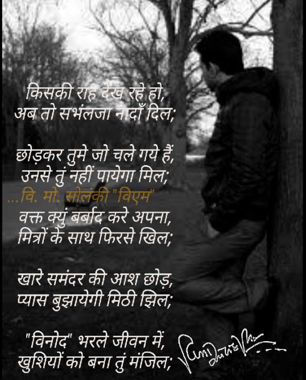 Hindi Poem by વિનોદ. મો. સોલંકી .વ્યોમ. : 111532631