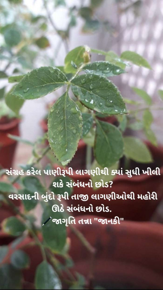 Gujarati Blog by Jagruti Tanna.... Janki : 111532664