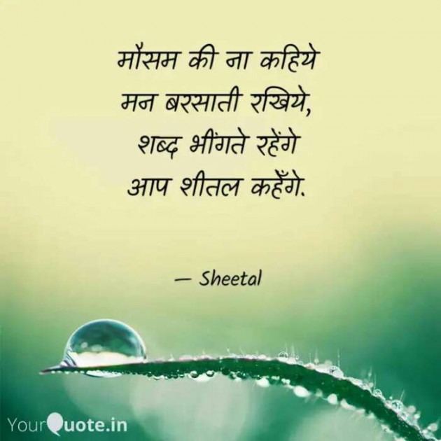 Hindi Whatsapp-Status by Sheetal : 111532972