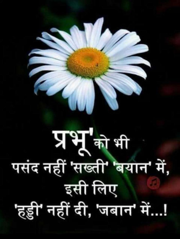 Hindi Quotes by Sawar Mal Patwari : 111533517
