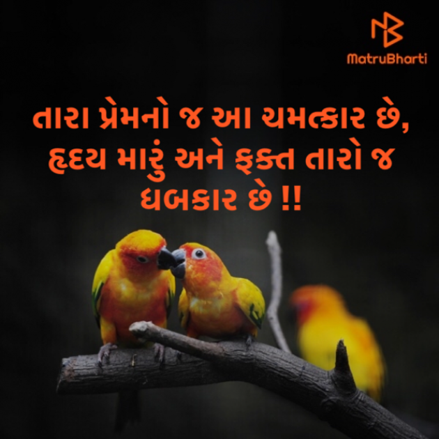 Gujarati Whatsapp-Status by S I D D H A R T H : 111533581