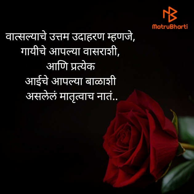 Marathi Quotes by Akshata Kurde : 111534995