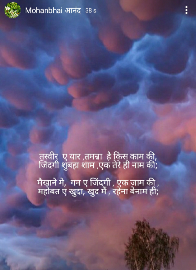 Hindi Poem by મોહનભાઈ આનંદ : 111535920