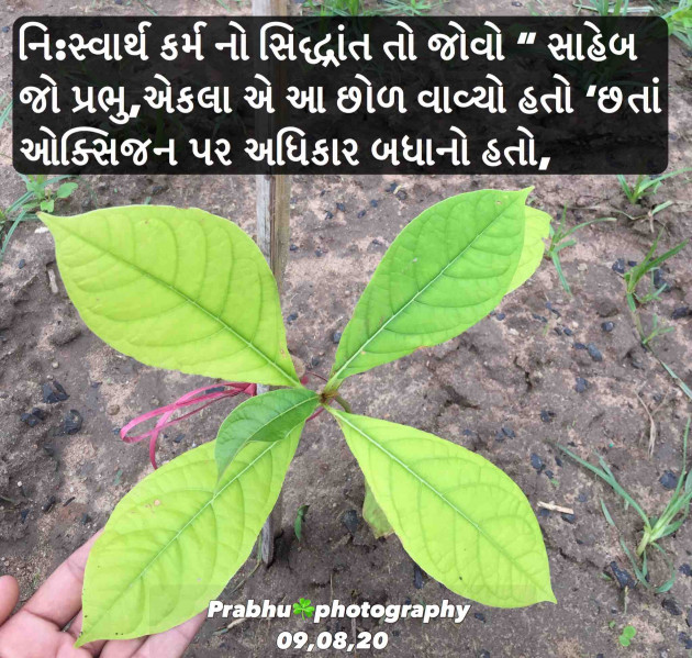 Gujarati Motivational by પ્રભુ : 111535996